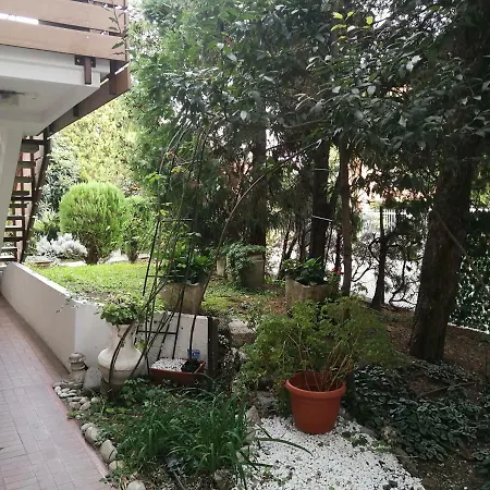 Casa Delle Rose * Treviso